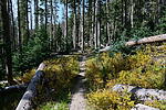 photo thumbnail #5