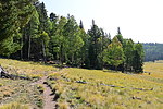photo thumbnail #8