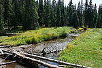 photo thumbnail #9