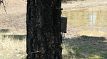 photo thumbnail #5