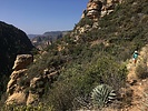 photo thumbnail #8