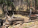 photo thumbnail #10