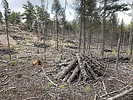 photo thumbnail #5