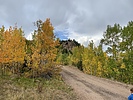 photo thumbnail #8