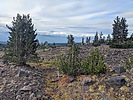 2020-09-22 :1: Divide Camp Trail :: keepmoving
