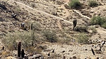 photo thumbnail #3