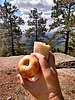 photo thumbnail #6