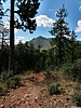 photo thumbnail #14