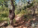 photo thumbnail #12