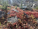 photo thumbnail #8
