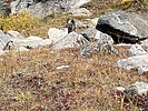photo thumbnail #9