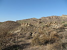 photo thumbnail #9