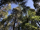 photo thumbnail #10
