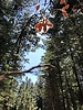 photo thumbnail #14