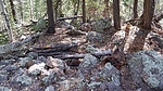photo thumbnail #6