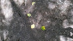 photo thumbnail #11