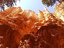 photo thumbnail #15