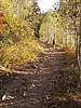 photo thumbnail #3