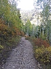 photo thumbnail #15