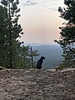 photo thumbnail #5