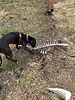 photo thumbnail #6