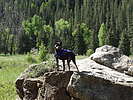 photo thumbnail #12