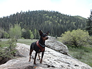 photo thumbnail #9
