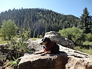 photo thumbnail #10