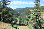recent photo