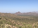 photo thumbnail #3