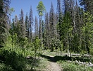 photo thumbnail #13