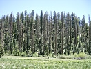photo thumbnail #14