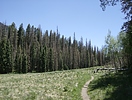 recent photo