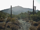 photo thumbnail #9