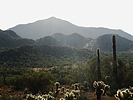 photo thumbnail #12