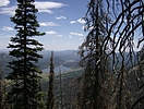 photo thumbnail #13