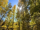 photo thumbnail #6