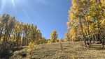 photo thumbnail #12