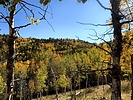 photo thumbnail #14
