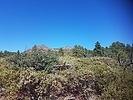photo thumbnail #12