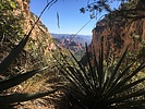 photo thumbnail #2