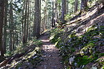 photo thumbnail #2