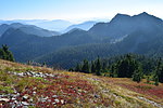 photo thumbnail #15