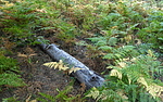 photo thumbnail #6
