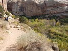 photo thumbnail #10