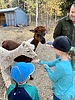 photo thumbnail #1