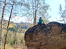 photo thumbnail #8