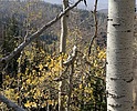 photo thumbnail #10