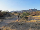 photo thumbnail #2
