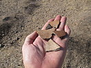 photo thumbnail #9